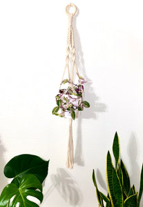 “Amelia” Handcrafted Macramé Plant Hanger