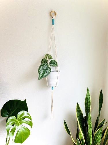 “Jane” Handcrafted Macramé Plant Hanger