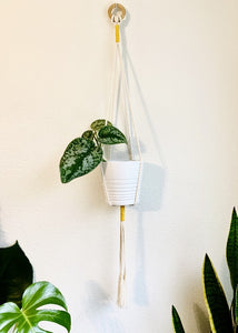 “Jane” Handcrafted Macramé Plant Hanger
